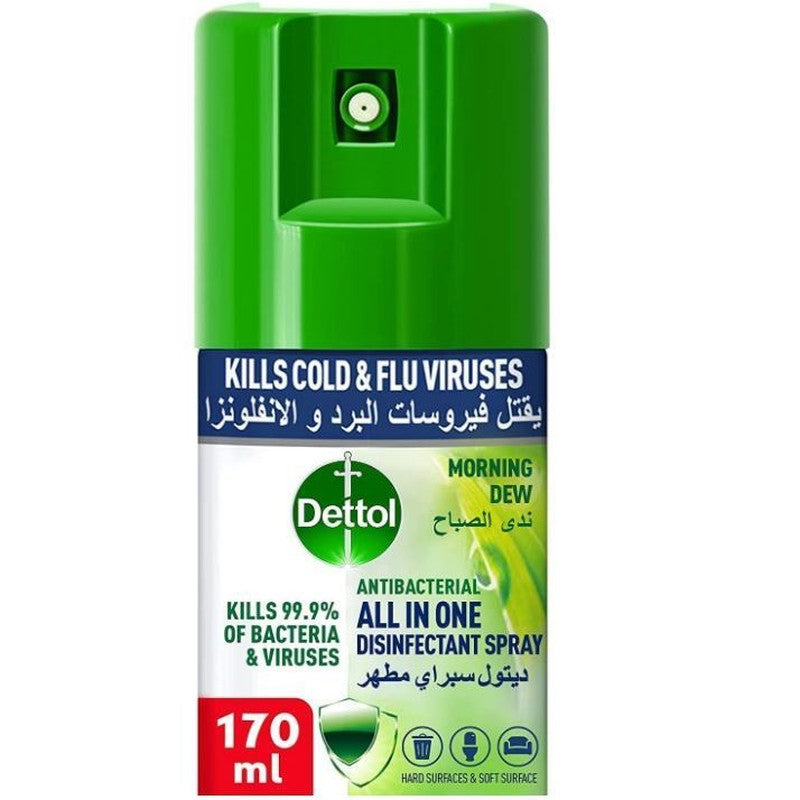 Dettol Spray All in One Green 170ml