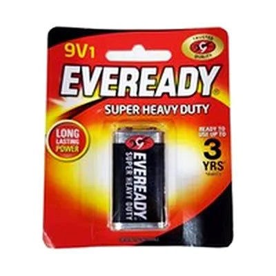 Everaday 9V1