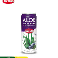 Aloe Blueberry 240ml