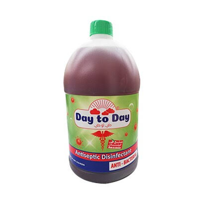 Day To Day Anti Bacterial 3.8L